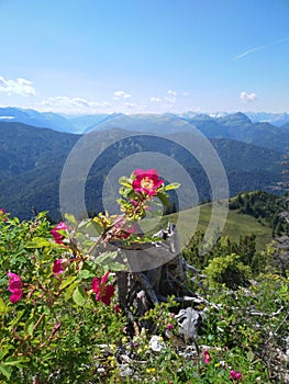 Hiking on the mountain RoÃÅ¸-und Buchstein in Bavaria